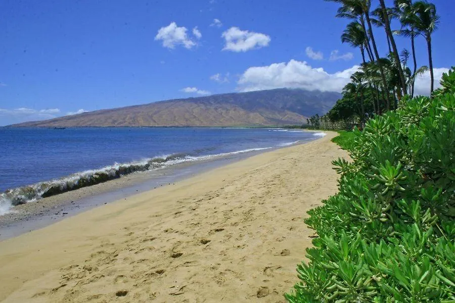 公寓 Kihei Beach, #307 Condo